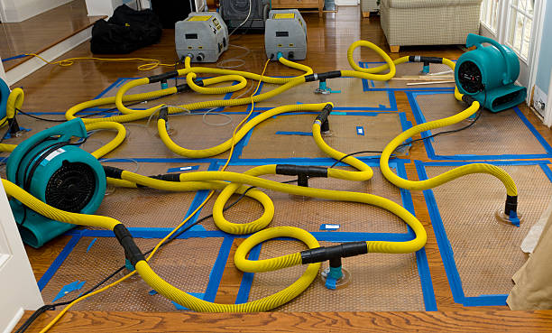 Professional Burst Pipe Water Damage technician working in Washington, NJ